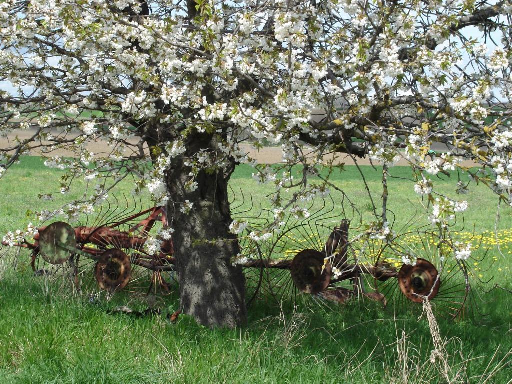 Maison de vacances La Roche Pérégrine Rochepradière 21 Route de Manzat, 63140 Châtel-Guyon