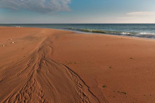 La Rose Allass Grand-Village-Plage france