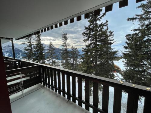 la rosière, le vanoise au pied des pistes Montvalezan france