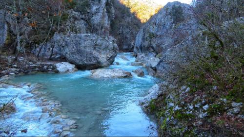 Villa la Salamandre du cerisier chemin de la vicairie Champ Girard 2 Aubignosc