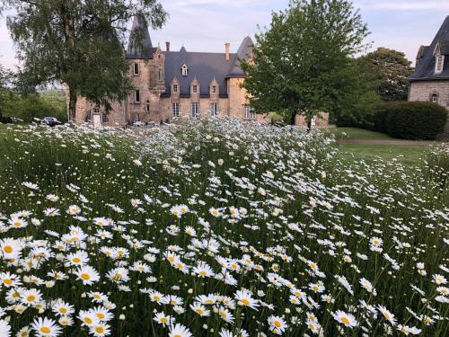 La Sicorie Saint-Germain-le-Guillaume france