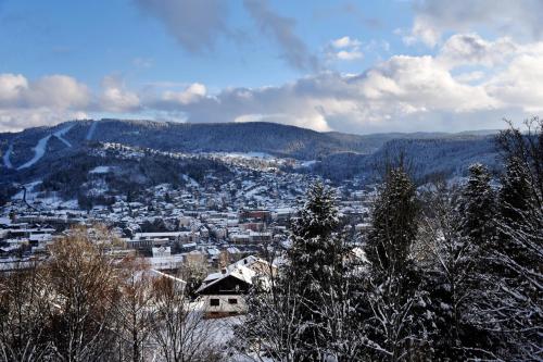 La Tanière : 4 personnes Gérardmer france