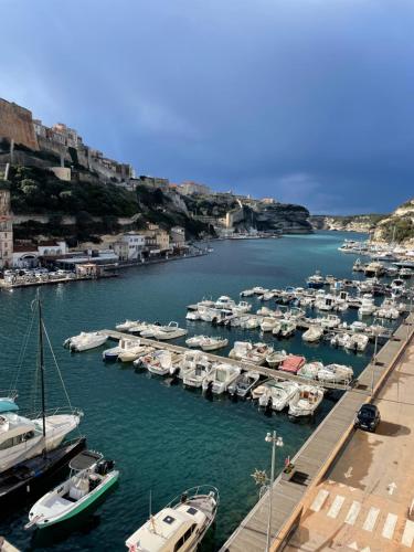 Appartement La Terrasse de Bonifacio Résidence Giovasole Quai Nord lieu-dit Orto Dolce 20169 Bonifacio Bonifacio