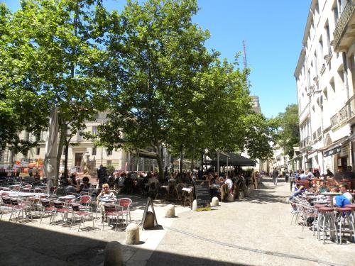 La Terrasse du Marché aux Fleurs Montpellier france