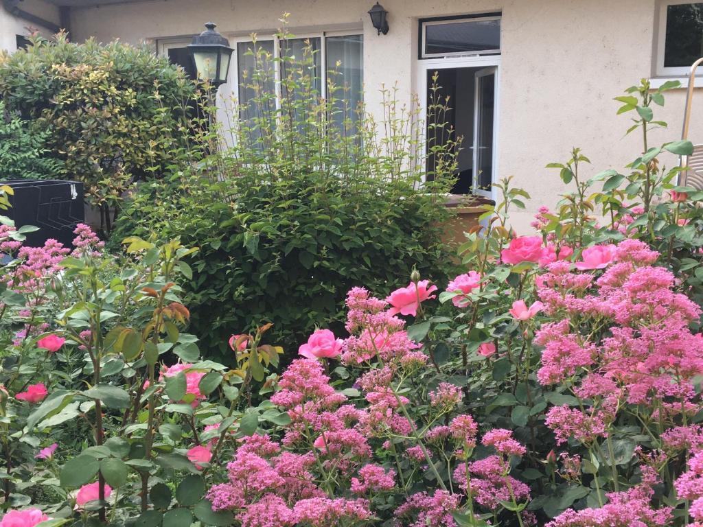 Maisons de vacances La Tour de Lierre 2 Bis Rue des Jeux, 37600 Loches