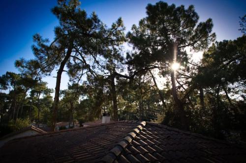 Maison de vacances La Troglodytique Classe 3* 10 Allée des Algues La Tremblade