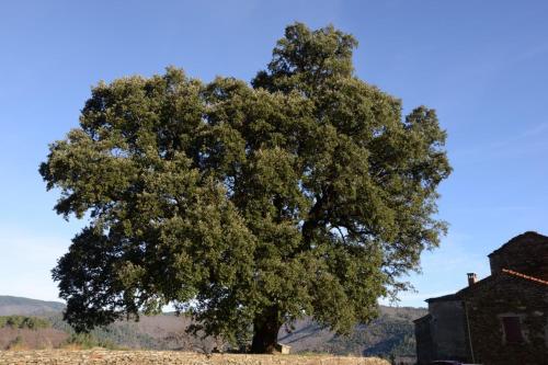 B&B / Chambre d'hôtes La vallée de Gaïa Lieu dit le Cap Saint-Hilaire-de-Lavit