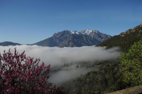 B&B / Chambre d'hôtes La Ventulella Lieu dit La Ventulella Moltifao