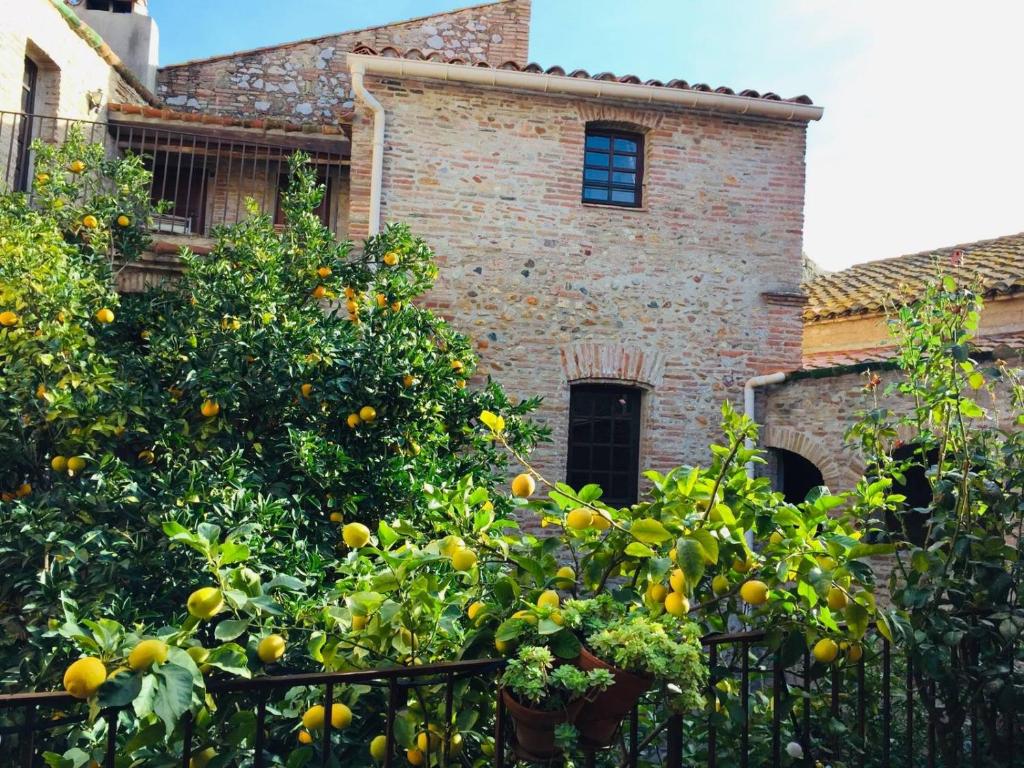 Maison d'hôtes La Vieille Demeure 4 rue de Llobet, 66440 Torreilles