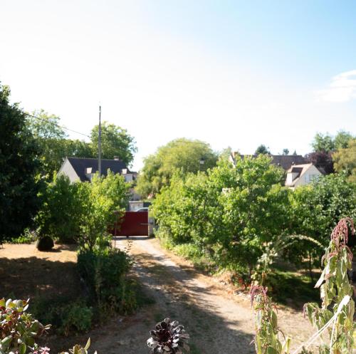 LA VIGNE Chailly-en-Bière france