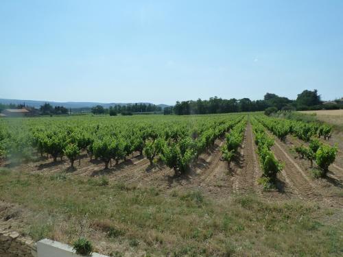 La Vigne Saint-Just france