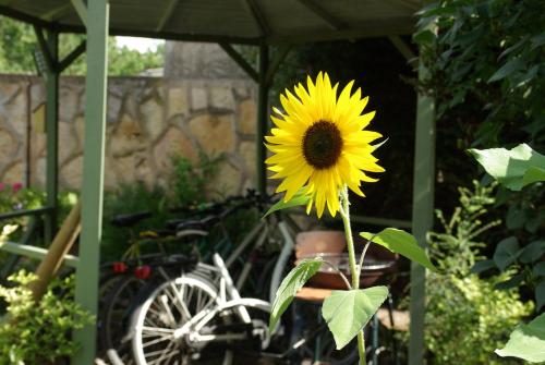 Maison de vacances La Vigneronne 113 Rue de Longvic Dijon