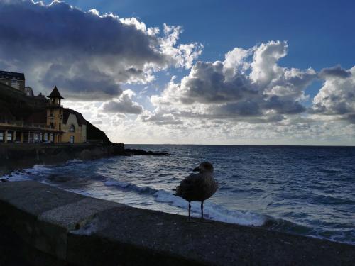 la Villa des Cigales Coudeville-sur-Mer france