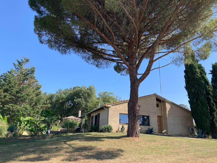 Villa La Zing-Ara 21 Chemin des Tardives, 81300 Busque