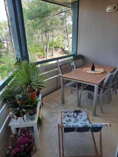 Appartement Lacanau-Océan T3 terrasse 50m2 au sein d'un complexe touristique Route du Baganais, village cheval, appt 697 Lacanau-Océan