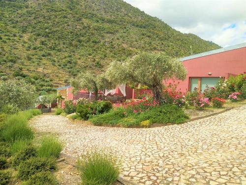 Lagares Douro Villas Pinhal do Douro portugal