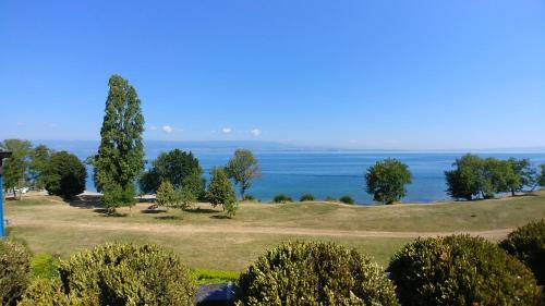 Appartement Lakefront. Appartement pieds dans l'eau. View and direct access to the lake. 17 Rue des Savoyances Anthy