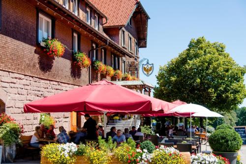 Land-gut-Hotel Höhengasthof Adler Lauterbach allemagne