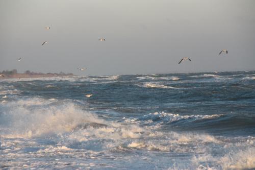 Land & Meer Hasselberg allemagne