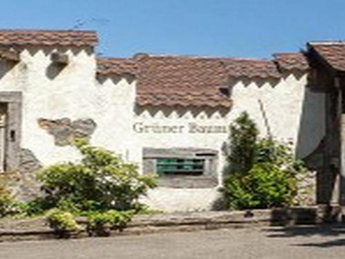 Hôtel Landgasthaus Grüner Baum Neuenweg 1 Simonswald