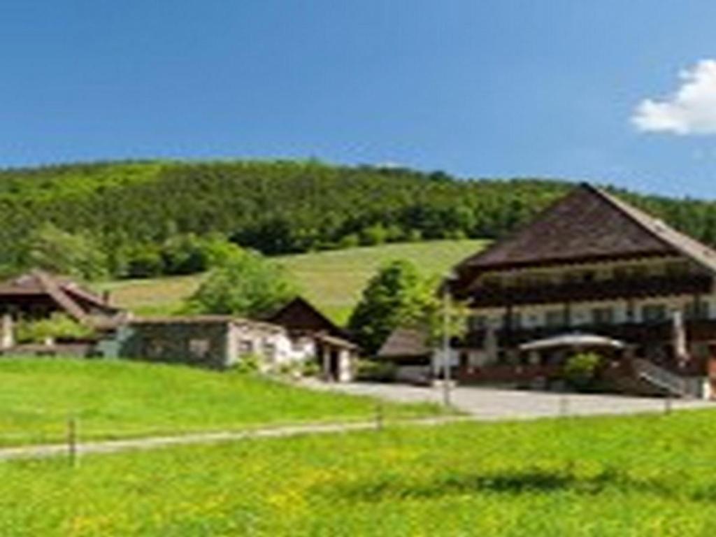 Hôtel Landgasthaus Grüner Baum Neuenweg 1, 79263 Simonswald