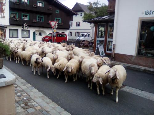 Landgasthof Kirchmayer Farchant allemagne