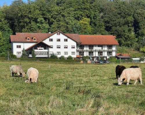 Hôtel Landgasthof Rotlipp Rotlippstraße 53 Ortenberg