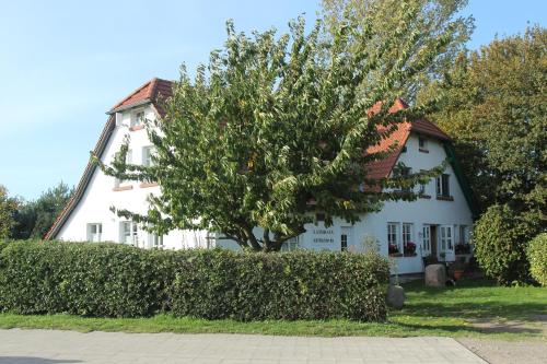 Maison d'hôtes Landhaus Alt Reddevitz Alt Reddevitz 1 A Middelhagen