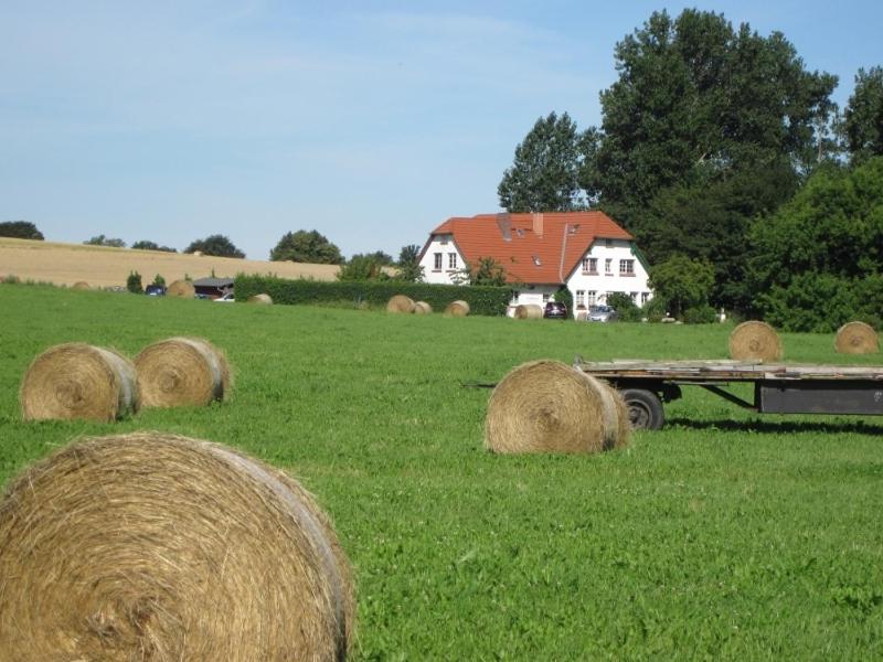 Maison d'hôtes Landhaus Alt Reddevitz Alt Reddevitz 1 A, 18586 Middelhagen