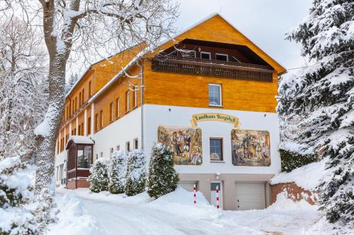 Maison d'hôtes Landhaus Bergidyll Niederschlag 20 Bärenstein