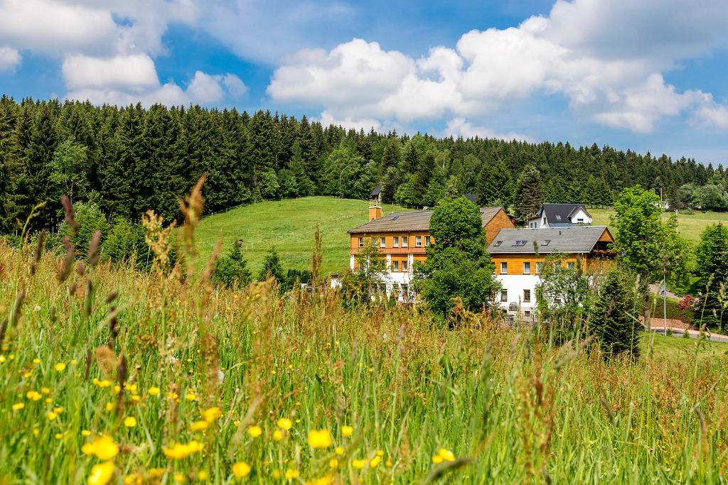 Maison d'hôtes Landhaus Bergidyll Niederschlag 20, 09471 Bärenstein