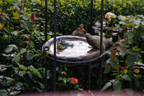 Appartement Landhaus Blumenstein Gartenstraße 1 1. Etage Mülsen