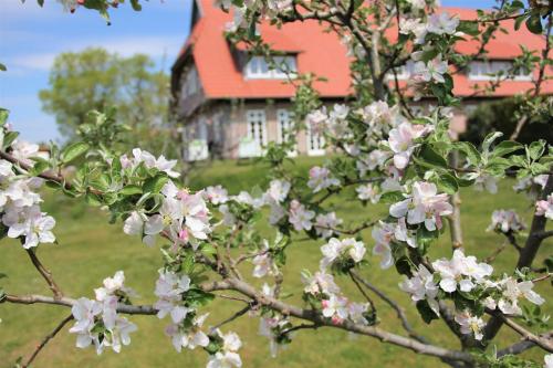 Landhaus Fünfseen Funfseen allemagne