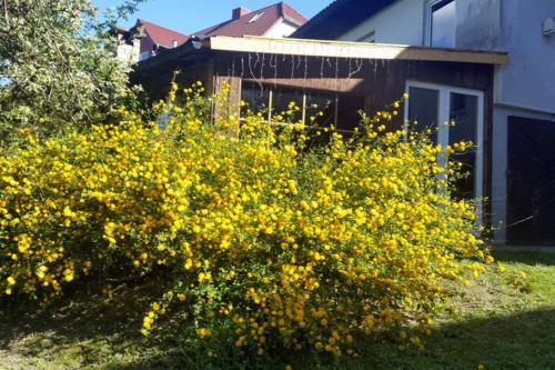 Maison de vacances Landhaus Haid 4 Haid Presseck