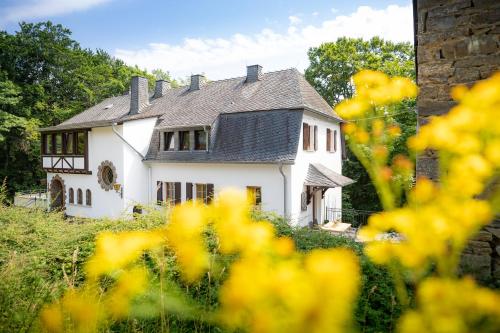 Landhaus Karbach mit Jagdvilla und Waldhäuschen Hirten allemagne