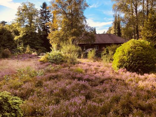 Maisons de vacances Landhaus mitten in der Lüneburger Heide Westerheide 12 Undeloh