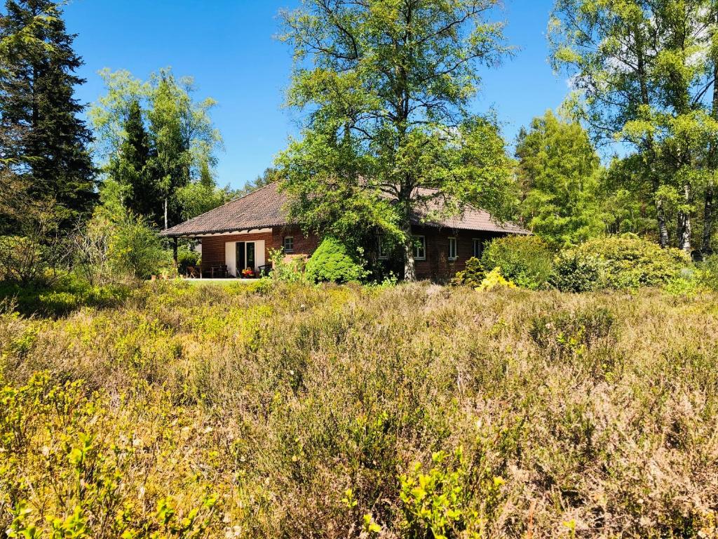 Maisons de vacances Landhaus mitten in der Lüneburger Heide Westerheide 12, 21274 Undeloh