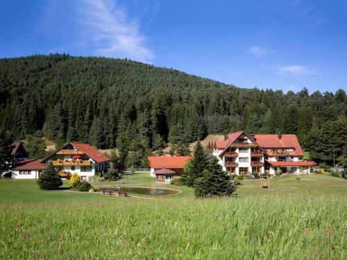 Appartements Landhaus Mühlengrund 95 Tonbachstraße Baiersbronn