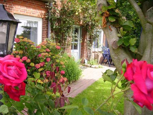 Appartements Landhaus op de Warft Mühlendeich 4 Vollerwiek