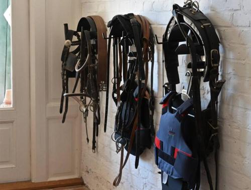 Appartement Landhaus pur 7 Lindenstraße Geschendorf