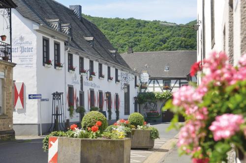 Landhotel Sanct Peter Bad Neuenahr-Ahrweiler allemagne