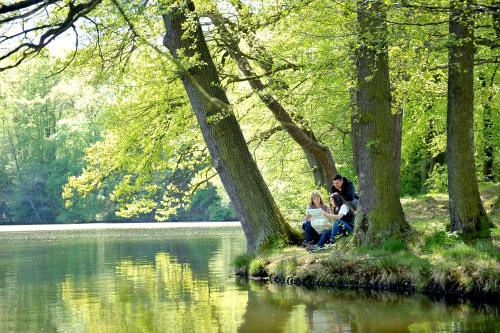 Landhotel Zur Grünen Kutte Bernshausen allemagne