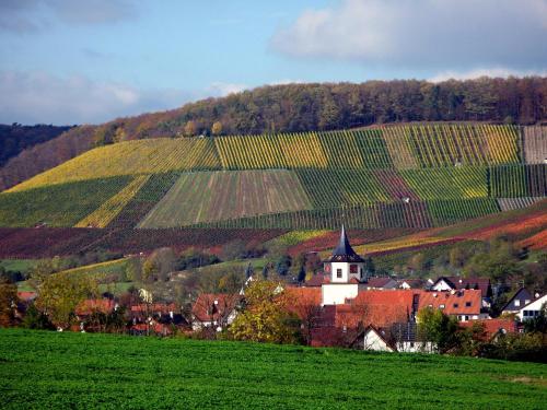 Appartements Landpension Wachtkopf Ferienwohnungen Langenbergstraße 20 Vaihingen-sur-l\'Enz