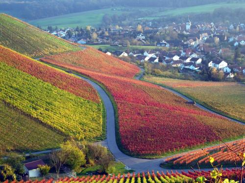 Landpension Wachtkopf Ferienwohnungen Vaihingen-sur-l\'Enz allemagne