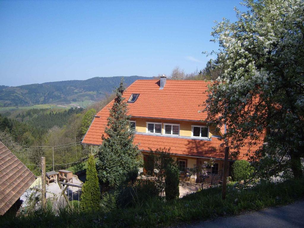 Appartement Langenberghof Langenberg 3, 77784 Oberharmersbach