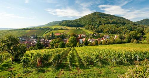 B&B / Chambre d'hôtes Lauras Weinherberge Weinstraße 2 Leinsweiler