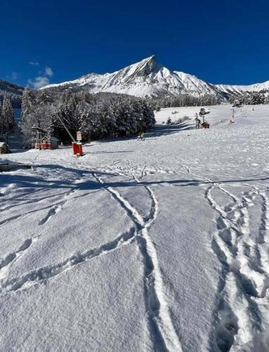 Laye Station - Appartement pieds des pistes Laye france