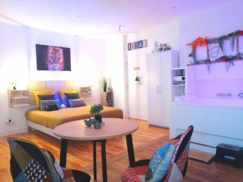 Appartement Le 2005 Double BALNEO, Lit QUEEN SIZE, soirée romantique 51 Boulevard Joseph Vallier Grenoble