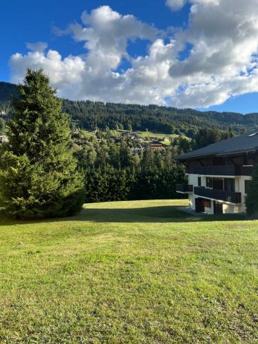 Appartement Le 315 - Studio 287 Route de la Gliat Praz-sur-Arly