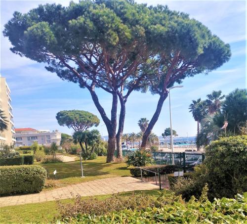 Le Bleu Paradis, rez-de-jardin en front de mer Cannes france